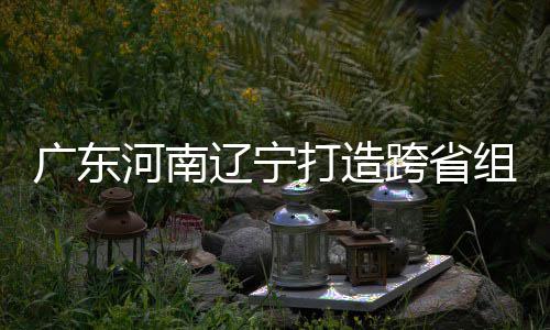入选接力跨省辽宁打造队河南有望组合泽涛 宁三省广东